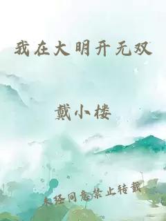 我在大明開(kāi)無(wú)雙