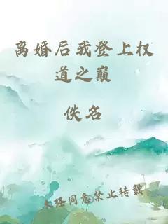 離婚后我登上權道之巔