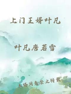上門(mén)王婿葉凡