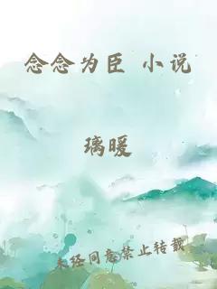 念念為臣 小說(shuō)