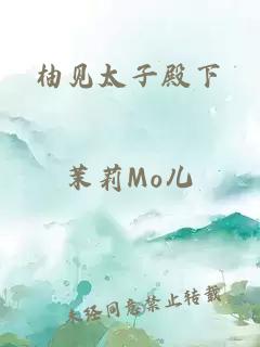 柚見(jiàn)太子殿下